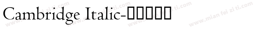 Cambridge Italic字体转换